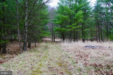0 Wetzel Hollow unit WVHD105886, Mathias, WV 26812 - photo 3