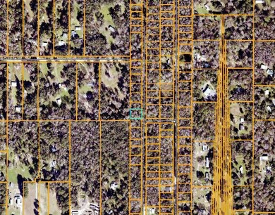 0 SE 41st Terrace unit MFRG5093130, Belleview, FL 34420 - photo 7