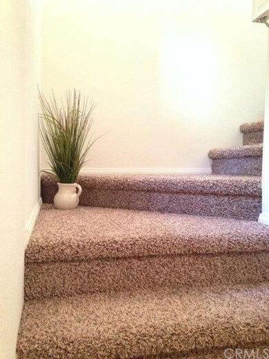 new carpet throughtout