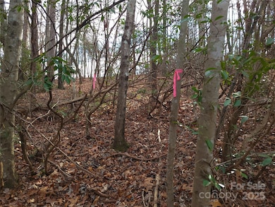 000 Skylark Ln unit 8, Tryon, NC 28782 - photo 6