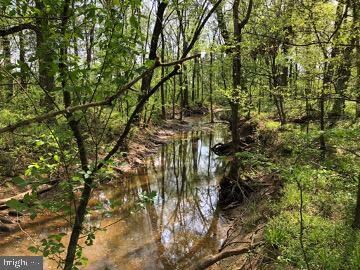 5174 Ritchie Rd, Bealeton, VA 22712 - photo 7