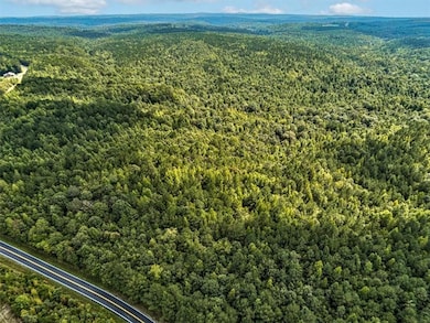 000 Old Ridgeway Rd, Bremen, GA 30110 - photo 2