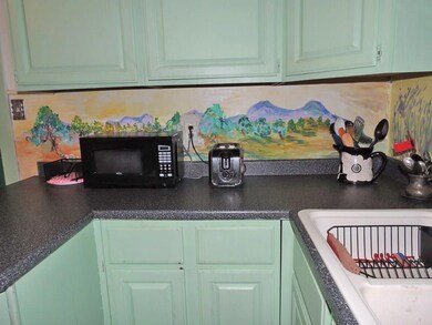 Custom mural back splash...