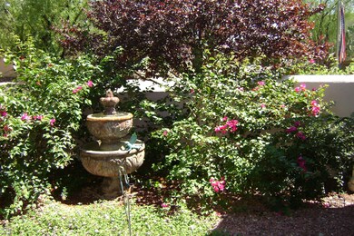 View from porch