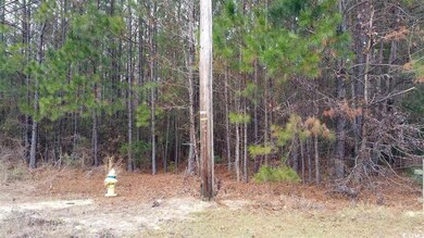 Lot S3 Wedgefield Rd, Georgetown, SC 29440 - photo 5