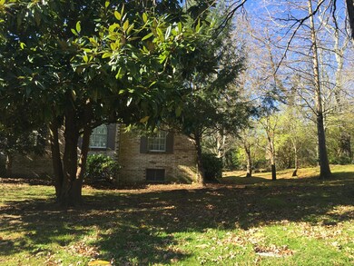 Front/side yard