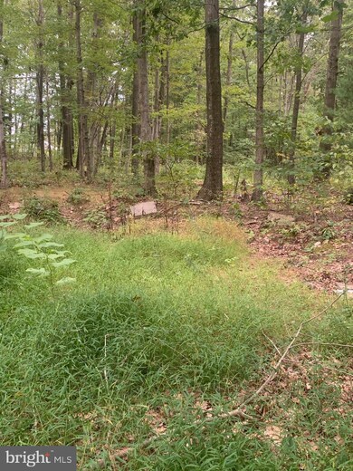 0 Germanville Rd, Ashland, PA 17921 - photo 7