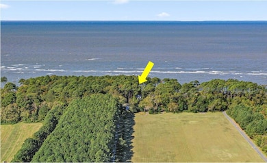 10016 Westerhouse Rd, MacHipongo, VA 23405 - photo 5