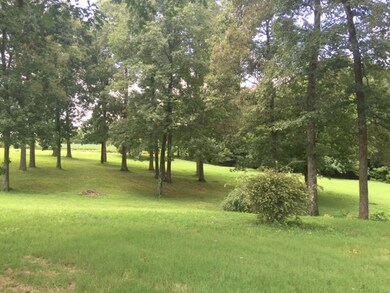 Looking toward McQistion Rd.