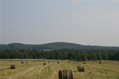 0 Stark Rd unit 1527243, Menomonie Township, WI 54751 - photo 3