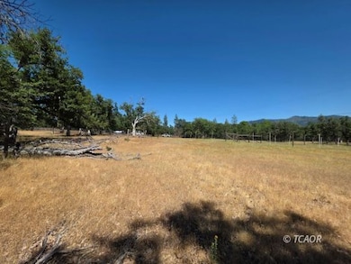 480 Oliva Dr, Hayfork, CA 96041 - photo 7