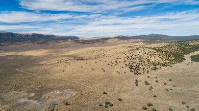 DJI_0577