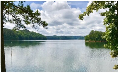 LT48 N Harris Creek Dr, Ellijay, GA 30540 - photo 4