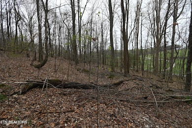 58.5 Acres Greenlee Rd, Rutledge, TN 37861 - photo 6