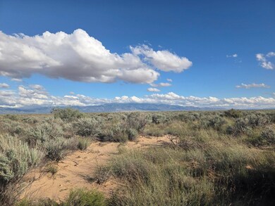 RDO Lot 3 Block 2 unit 51, Los Lunas, NM 87031 - photo 4