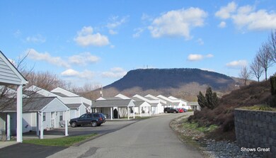 View of Tinker Mountain
