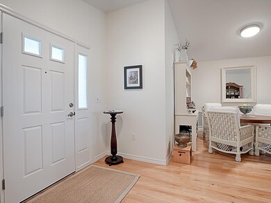 WHAT A BRIGHT ENTRANCE...