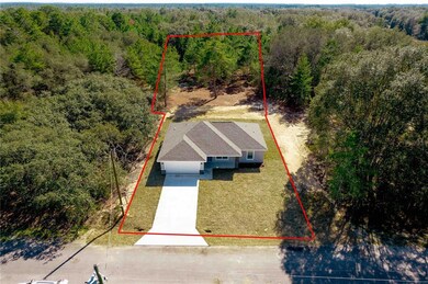 4 Fisher Trace, Ocklawaha, FL 32179 - photo 2