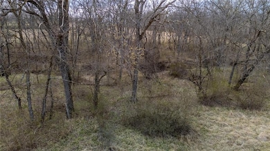 33784 W 168th St, Elmira, MO 64062 - photo 4