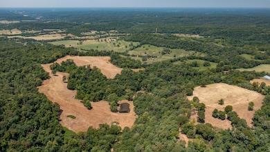 000 Neon Sky Dr, Pineville, MO 64856 - photo 7