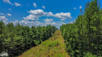 0 Oakley Rd unit 24338612, Hybart, AL 36452 - photo 7