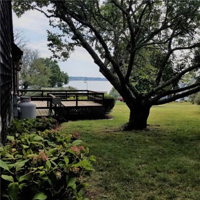 back yard