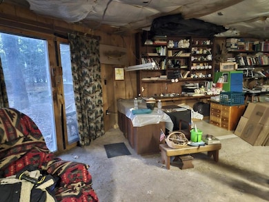 6856 W Wolf Island Rd, Hayward, WI 54843 - photo 5