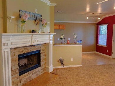 239 Lake Wichita Dr, Wylie, TX 75098 - photo 6