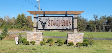 10111 Forkhorn Ct, Bell Buckle, TN 37020 - photo 2