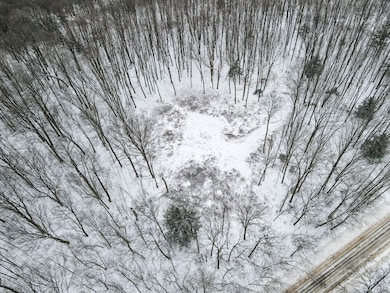 Vacant Land, Merrill, WI 54452 - photo 5