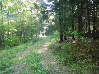 DSCN7085