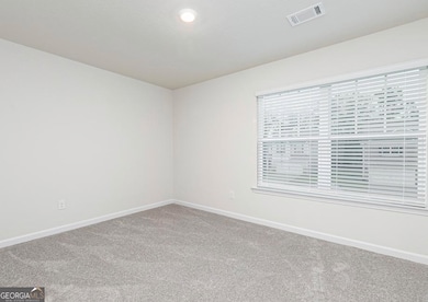 289 Egret Ct, Hoschton, GA 30548 - photo 2