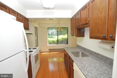 15201 Elkridge Way, Silver Spring, MD 20906 - photo 5