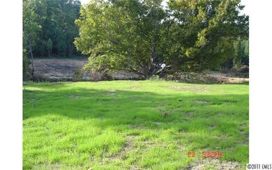 Lot 2 Appaloosa Trail, Iron Station, NC 28080 - photo 7