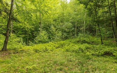 00 Mellish Rd, Alstead, NH 03602 - photo 5