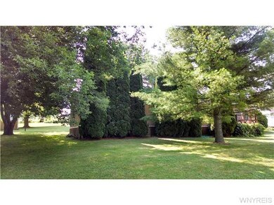 Yard/Garden