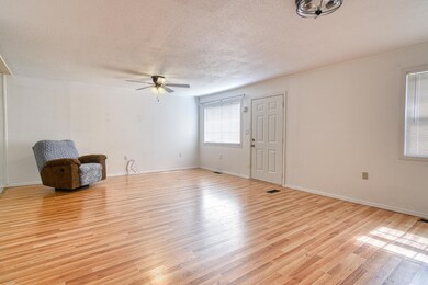 23315WalnutLnShellKnobMO-15