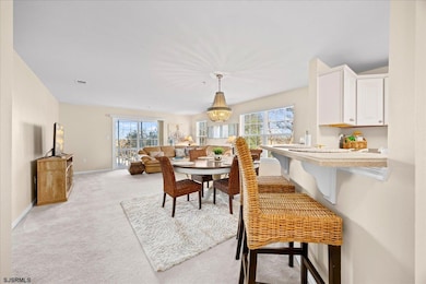 1 Bayside Dr unit F1, Somers Point, NJ 08244 - photo 4