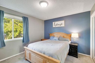 7159 Shad Ave, Hugo, MN 55038 - photo 7