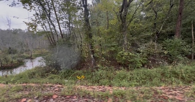 0 Pond Branch Rd unit Lot 4 (6.52 acres), Buena Vista, TN 38318 - photo 2