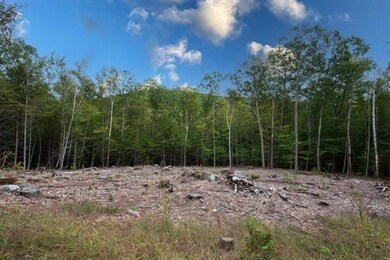 57 Pinnacle Rd, Campton, NH 03223 - photo 6