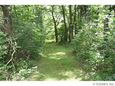 Other. A trail goes into the woods....