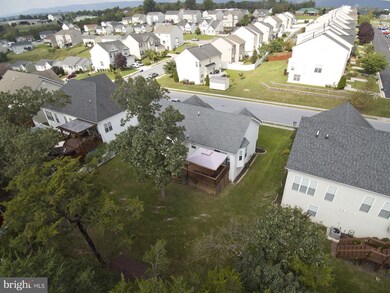 842 Island Farm Rd, Strasburg, VA 22657 - photo 5