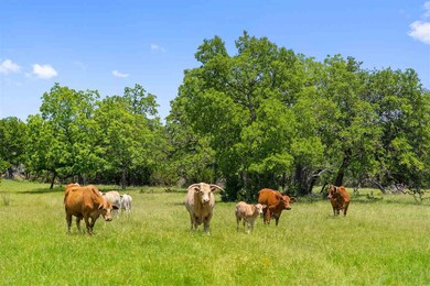 12684 S State Highway 16, Fredericksburg, TX 78624 - photo 7