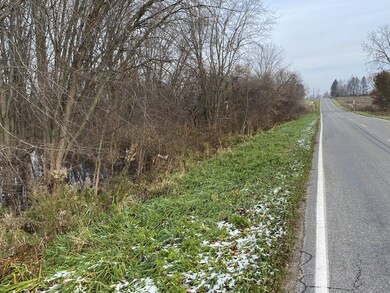 road view