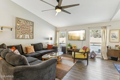 Views to the backyard