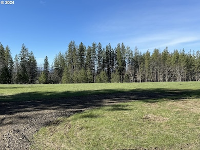 0 Sammy van Lokeren Way unit 650257962, Goldendale, WA 98620 - photo 2