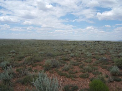 8538 Terry Trail 003