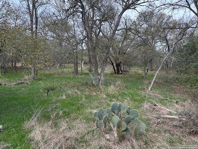 141 N Eskew Ln, Wyldwood, TX 78612 - photo 5