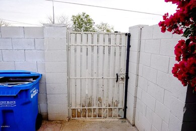 Back Patio Gate